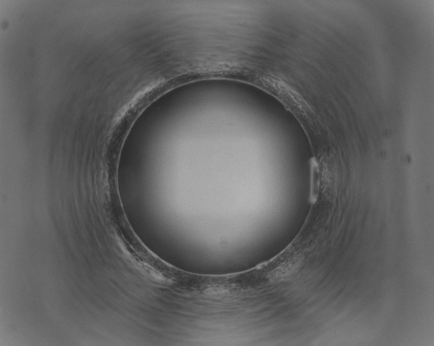 X0000073760684200608171357