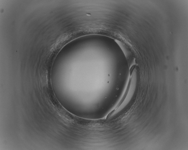 X0000073760685200608171357