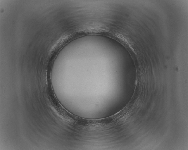 X0000073760686200608171357