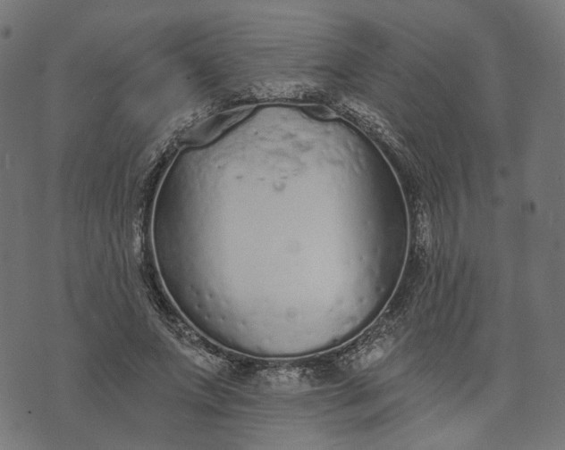 X0000073760687200608171357