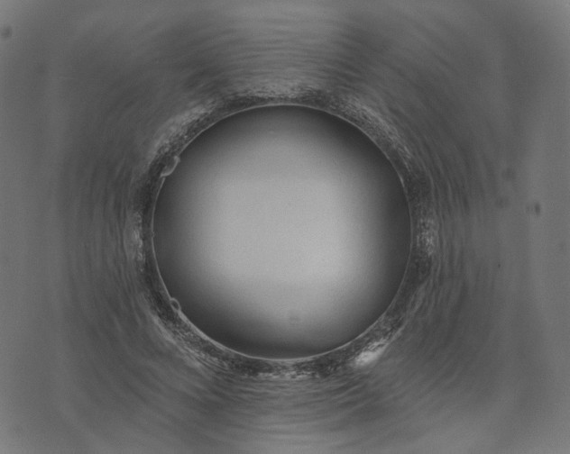 X0000073760688200608171357