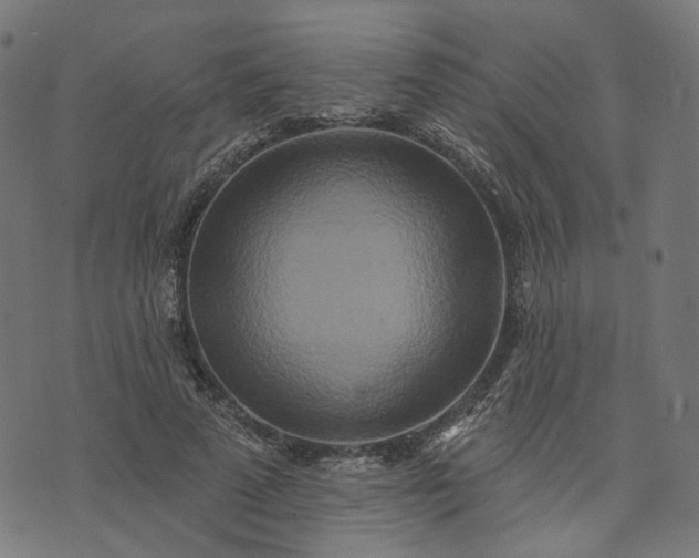 X0000073760689200608171357