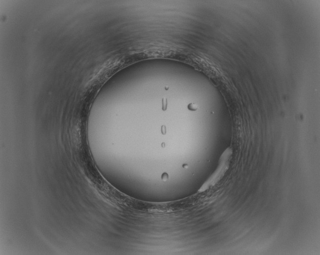 X0000073760690200608171357