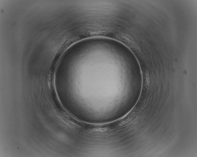 X0000073760691200608171357