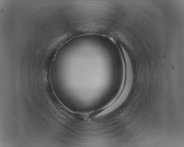 X0000073760692200608171357