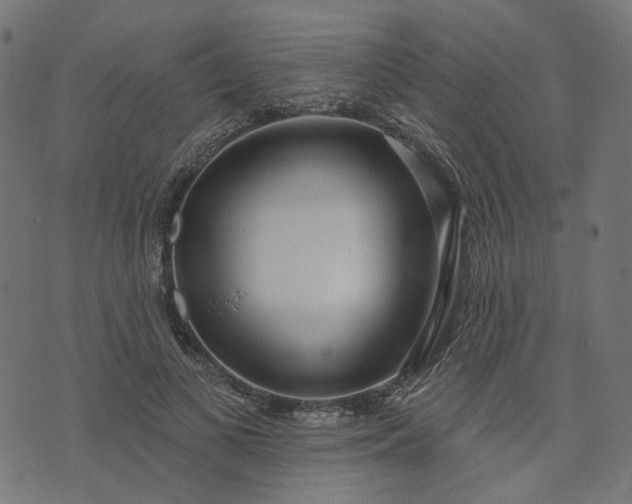 X0000073760693200608171357