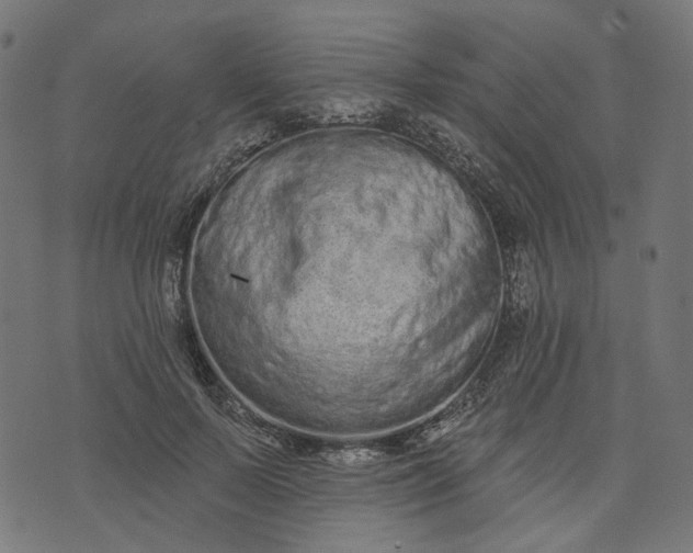 X0000073760695200608171357