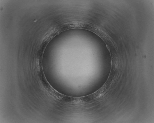 X0000073760696200608171357