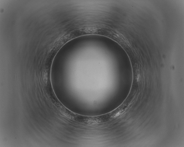 X0000073760697200608171357