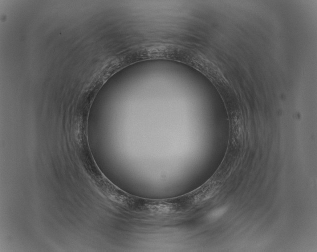 X0000073760698200608171357