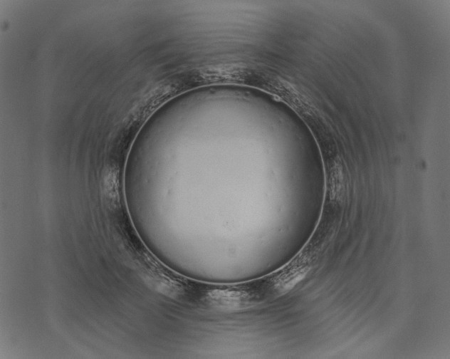 X0000073760699200608171357