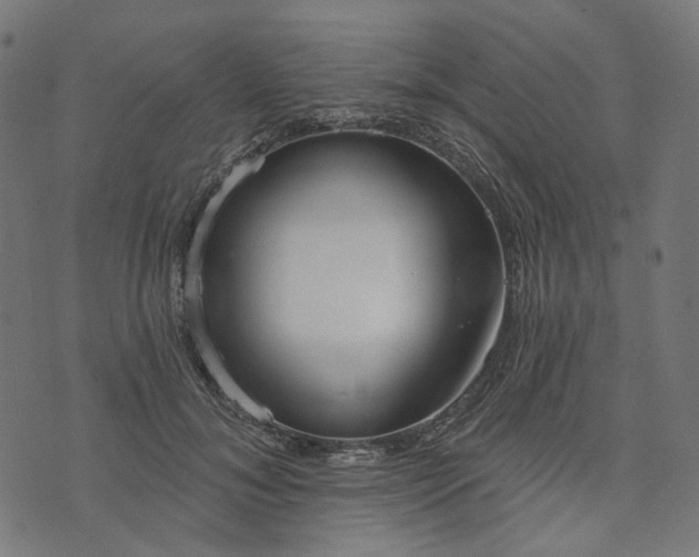 X0000073760700200608171357