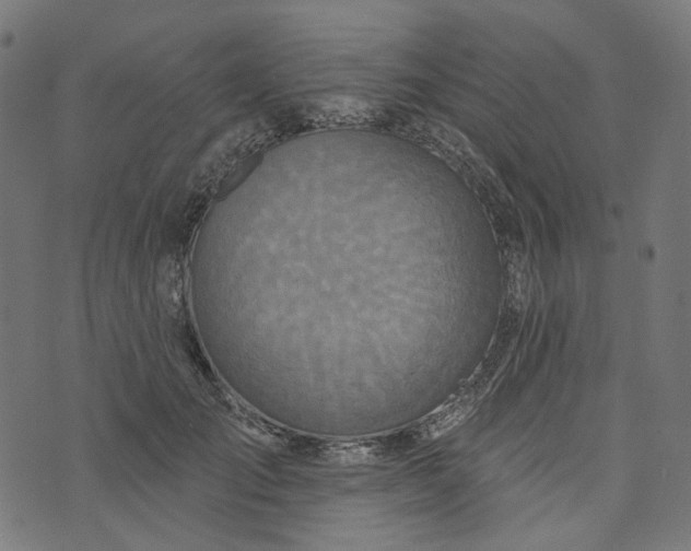 X0000073760701200608171357