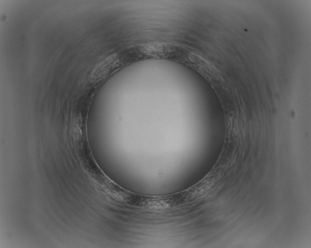 X0000073760702200608171356