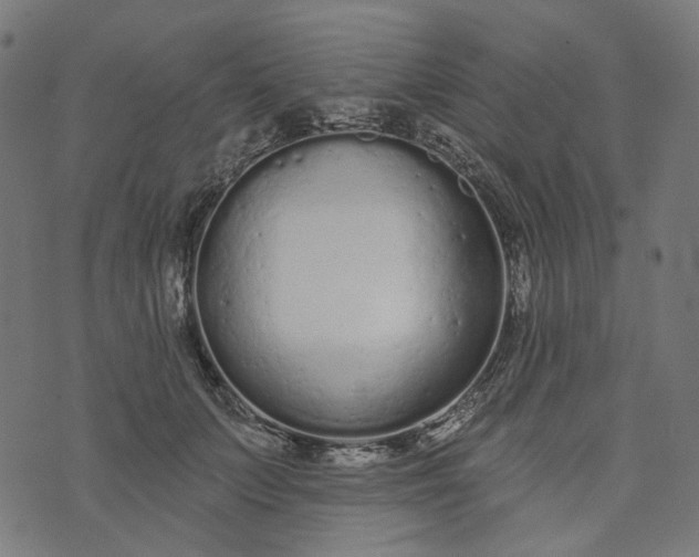 X0000073760703200608171356