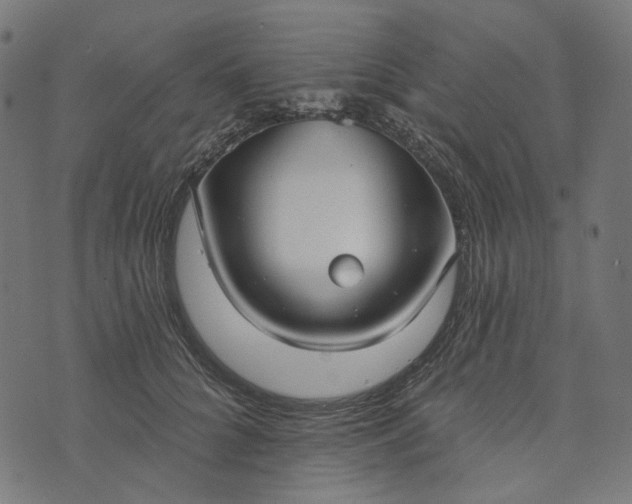 X0000073760704200608171356