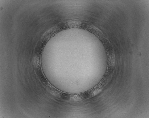 X0000073760705200608171356