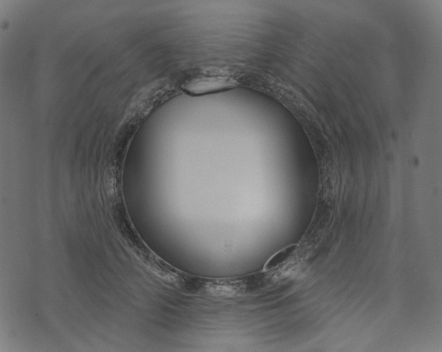 X0000073760706200608171356