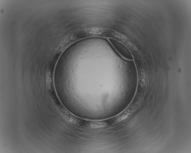 X0000073760707200608171356