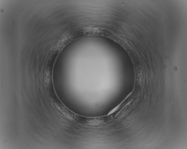 X0000073760708200608171356