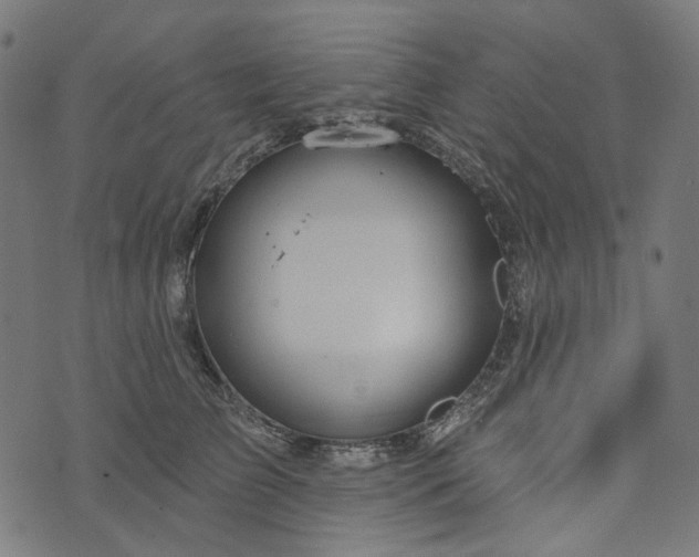 X0000073760709200608171356