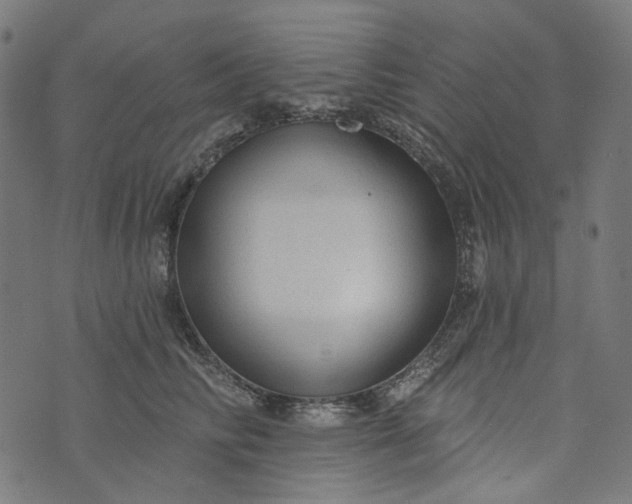 X0000073760710200608171356