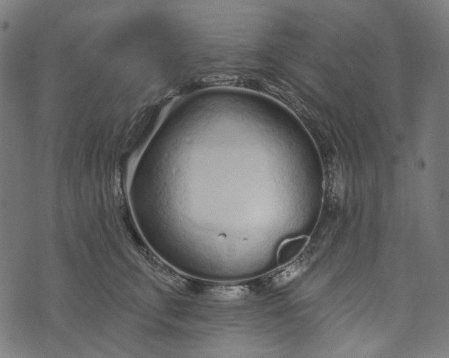 X0000073760711200608171356