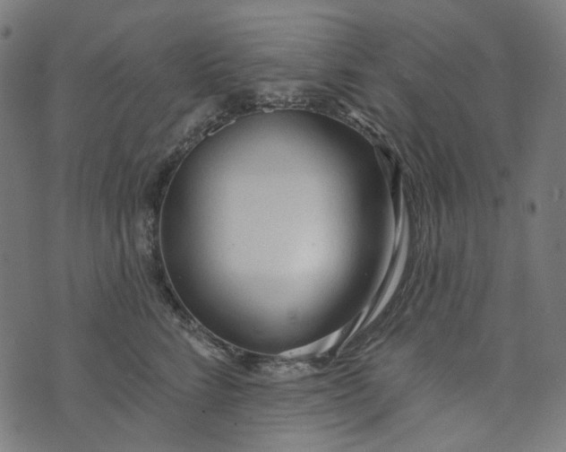 X0000073760712200608171356