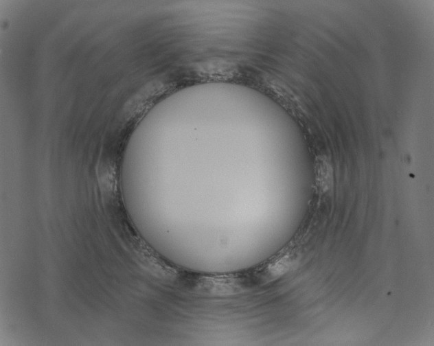 X0000073760713200608171356