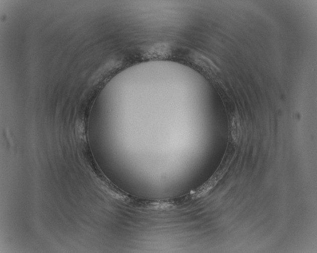 X0000073760714200608171356