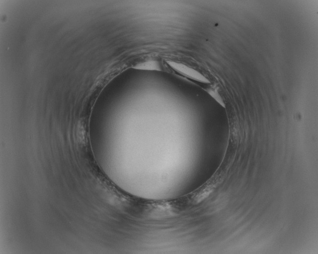 X0000073760715200608171356