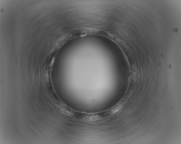 X0000073760716200608171356