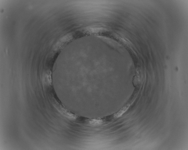 X0000073760718200608171356