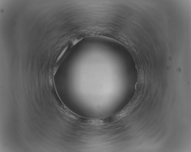 X0000073760719200608171356