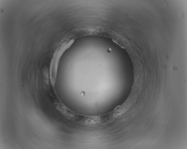 X0000073760720200608171356