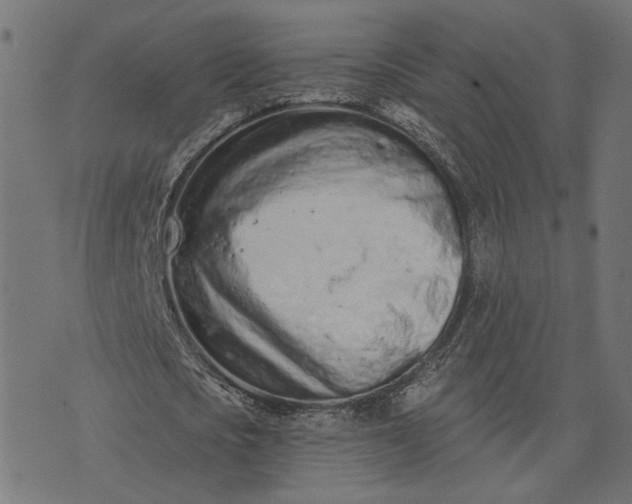 X0000073760721200608171355