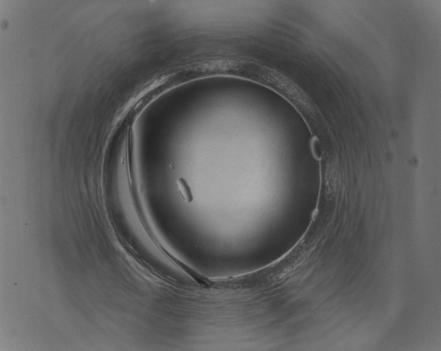 X0000073760722200608171355