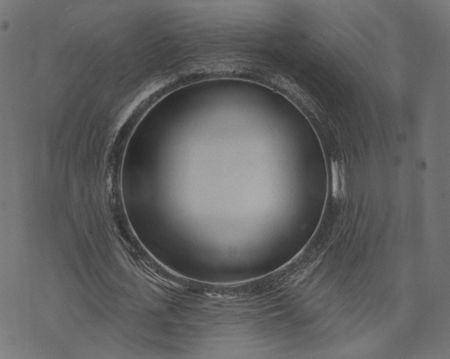 X0000073760723200608171355