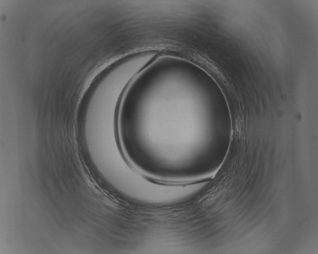 X0000073760724200608171355