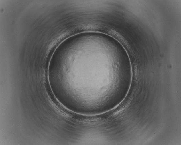 X0000073760725200608171355