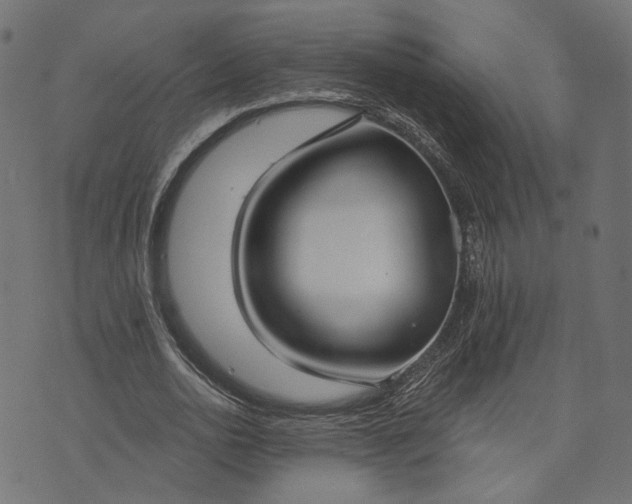 X0000073760726200608171356