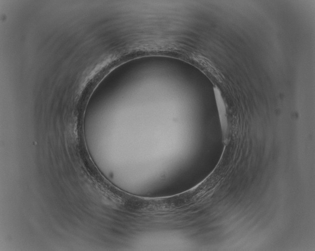 X0000073760727200608171356