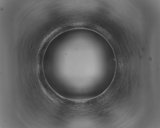 X0000073760728200608171356