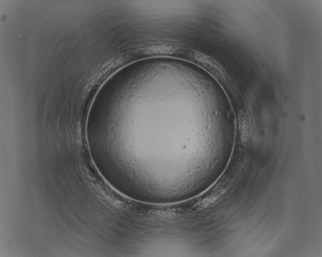 X0000073760729200608171356