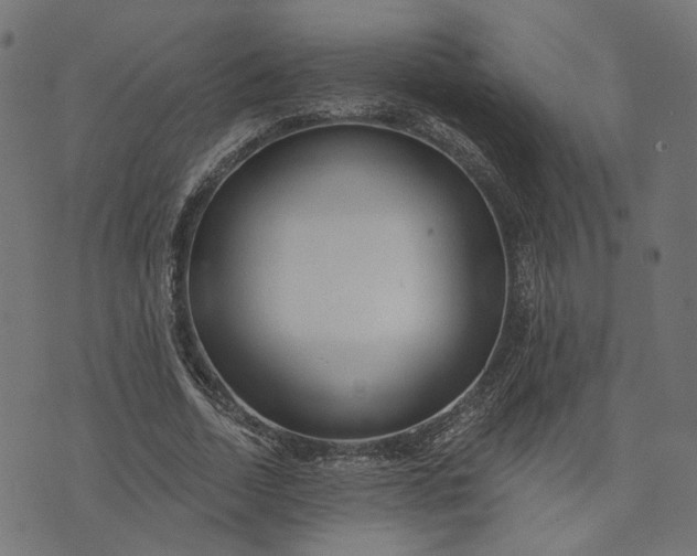 X0000073760730200608171356