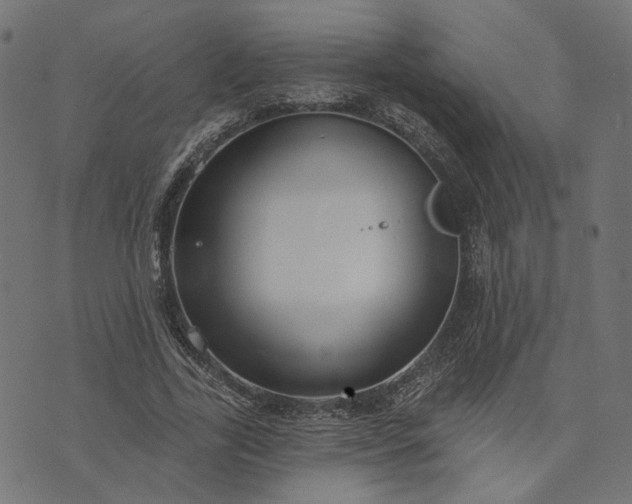 X0000073760731200608171356