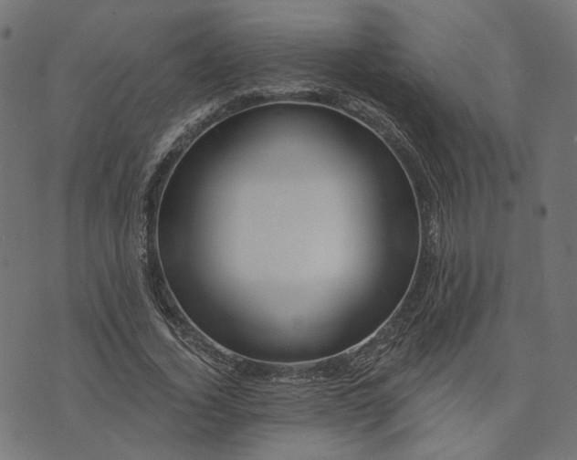 X0000073760732200608171356