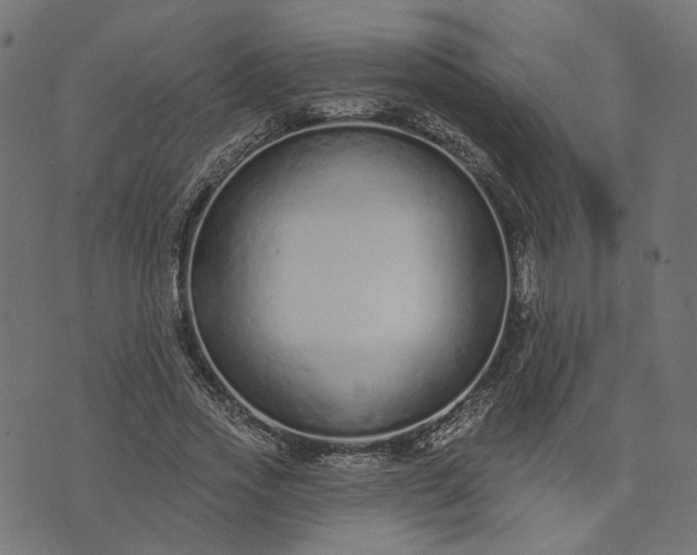 X0000073760733200608171356