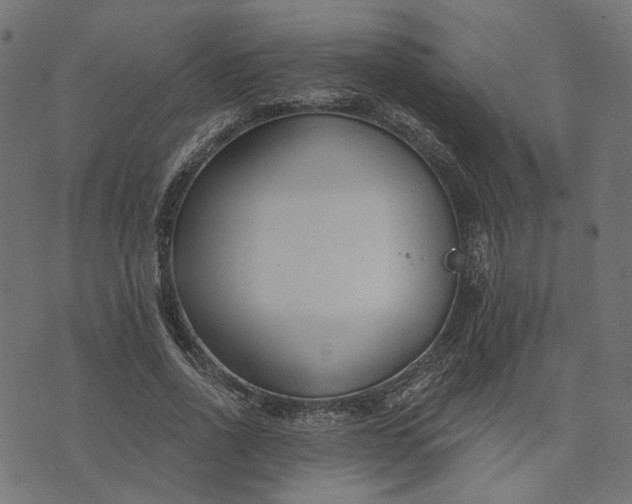 X0000073760734200608171356