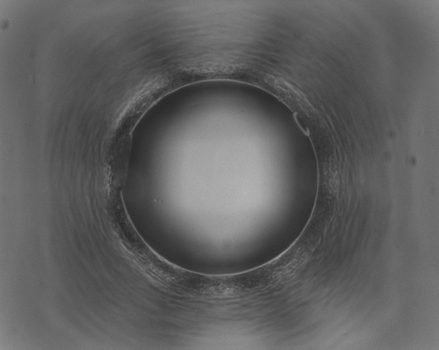 X0000073760735200608171356